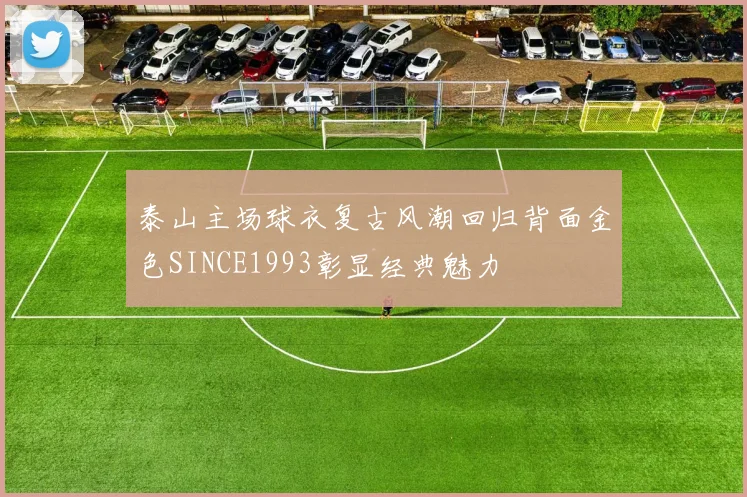泰山主场球衣复古风潮回归背面金色SINCE1993彰显经典魅力