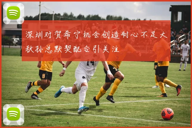 深圳对贺希宁机会创造耐心不足大秋孙总默契配合引关注